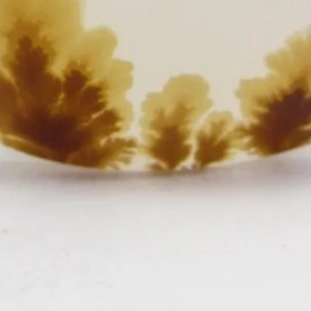 تصویر سنگ شجر کد 2305 