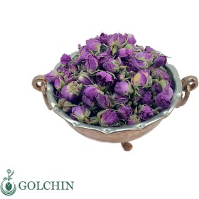 تصویر غنچه گل محمدی 