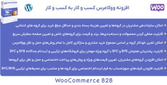 تصویر افزونه ووکامرس کسب ‌و کار به کسب ‌و کار | WooCommerce B2B 