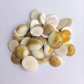 تصویر درپوش صدف ۵۰ گرم 