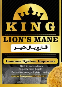 تصویر فروشگاه کینگلند