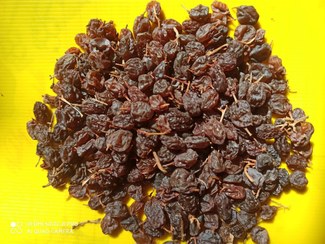 تصویر کشمش ابگیری raisins