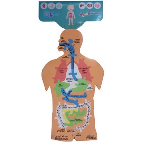 تصویر پازل آموزشی اعضای بدن انسان امید سایان (اینجا استور) 