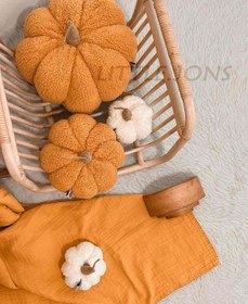 تصویر کدوی تدی 