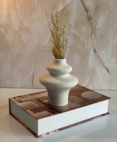 تصویر گلدان آپادا 