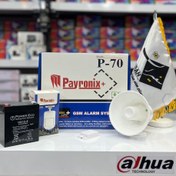 تصویر پک دزدگیر پایرونیکس Payronix alarm pack