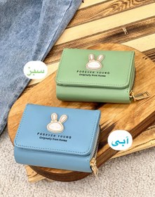 تصویر کیف پول بانی کد 310 