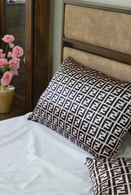 تصویر روبالشی فندی 