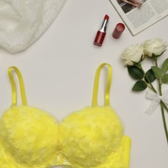 تصویر ست شورت و سوتین پولیشی تدی 