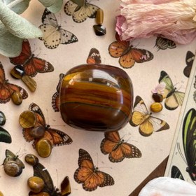 تصویر چشم ببر 08 