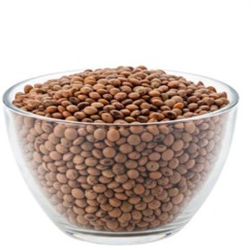 تصویر بذر عدس دیم ریز 20 عددی 