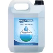 تصویر ضد جلبک استخر و جکوزی ALGAE CLEAN مگاپول 