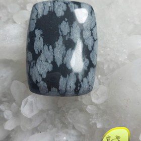 تصویر نگین ابسیدین برفی 