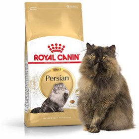 تصویر غذای خشک گربه رویال کنین royal canin مخصوص گربه های پرشین بالغ(فقط یک عدد ارسال می گردد) 