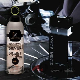 تصویر اسپری بدن مردیت مردانه مدل سیلور سنت | Meredith Body Spray Silver Skent Meredith Body Spray Silver Skent