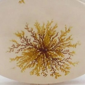 تصویر سنگ شجر کد 2379 