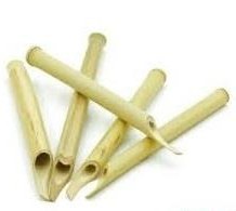 تصویر قلم خیزران بلند 