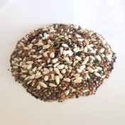 تصویر هفت تخمه پرنده 