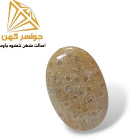 تصویر نگین فسیل مرجان (کد ۲) 