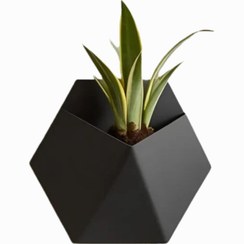 تصویر گلدان دیواری دکوری 