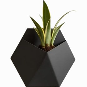 تصویر گلدان دیواری دکوری 