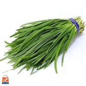 تصویر بذر تره Leek