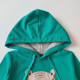 تصویر هودی ببری 