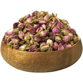 تصویر غنچه گل محمدی 