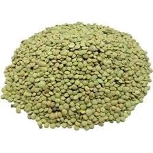تصویر عدس ریز 