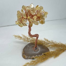 تصویر درختچه سنگ سیترین 312 