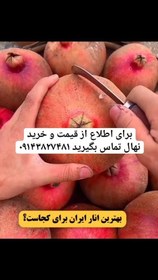 تصویر انواع نهال انار 