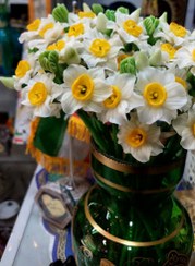 تصویر گل نرگس مصنوعی 