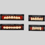 تصویر دندان مصنوعی بتا استار ۶ تایی 