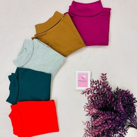 تصویر بلوز یقه اسکی زنانه 