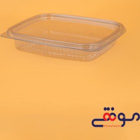 تصویر ظرف دلی 250درب لولایی(تعداد درکارتن500) 