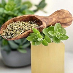 تصویر مرزنجوش 