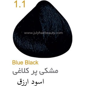 تصویر رنگ مو جولای پر کلاغی 1.1 حجم 100 میل Blue Black July 