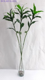 تصویر گلدان بامبو شیشه ای خمره ای 