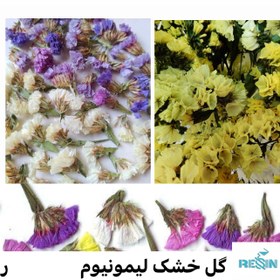 تصویر گل خشک لیمونیوم 