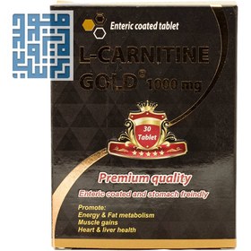 تصویر قرص ال کارنیتین گلد 1000 میلی گرم مولتی نرمال L Carnitine Gold 1000 mg MultiNormal