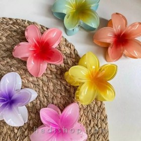 تصویر پک دو عددی کلیپس پینترستی پلومریا وارداتی 