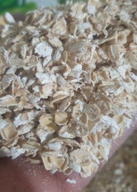 تصویر جو دو سر پرک فوری 