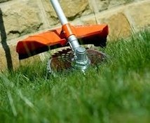 تصویر علف تراش دوو مدل DBC360GX چهار زمانه با منبع بنزین 