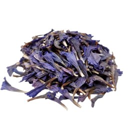 تصویر گل گاو زبان 