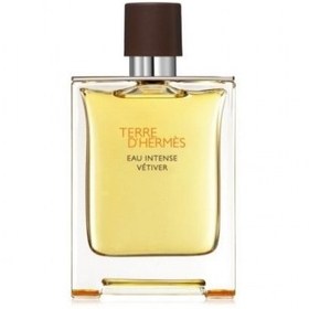 hermes terre intense