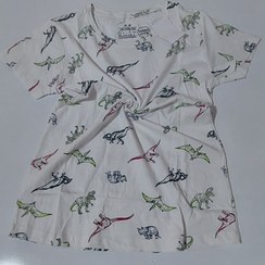 تصویر تیشرت نخ پنبه زنانه اچ اند ام قواره دار اصلی بنگلادشی T-shirt H&M