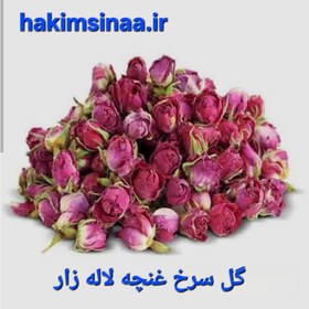 تصویر گل سرخ غنچه لاله زار ۷۵گرم