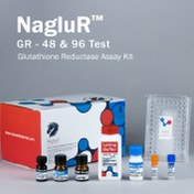 تصویر کیت سنجش گلوتاتیون ردوکتاز GR به روش کالریمتریک محصول نوند سلامت NagluR™-Glutathione Reductase Assay Kit-GR