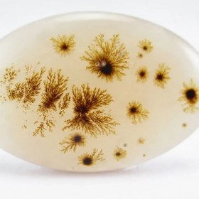 تصویر سنگ شجر کد 2323 