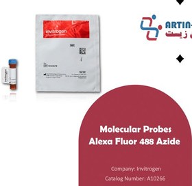 خرید و قیمت پروب فلورسنت Alexa Fluor 488 Azide | ترب